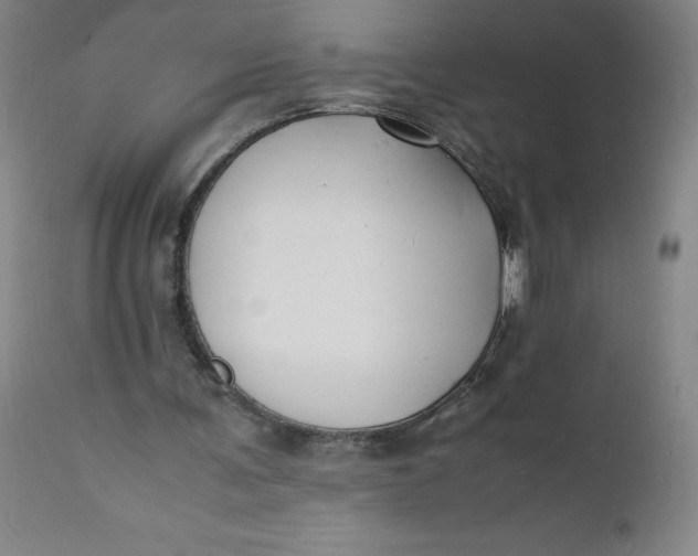 X0000112150291200908281346