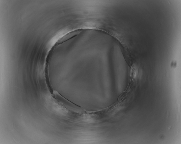 X0000112150292200908281346