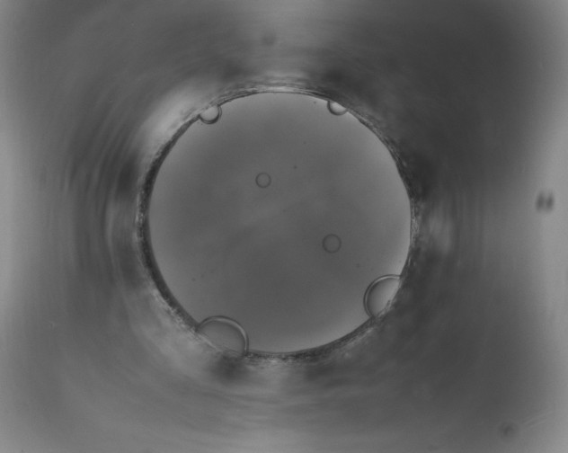 X0000112150293200908281346