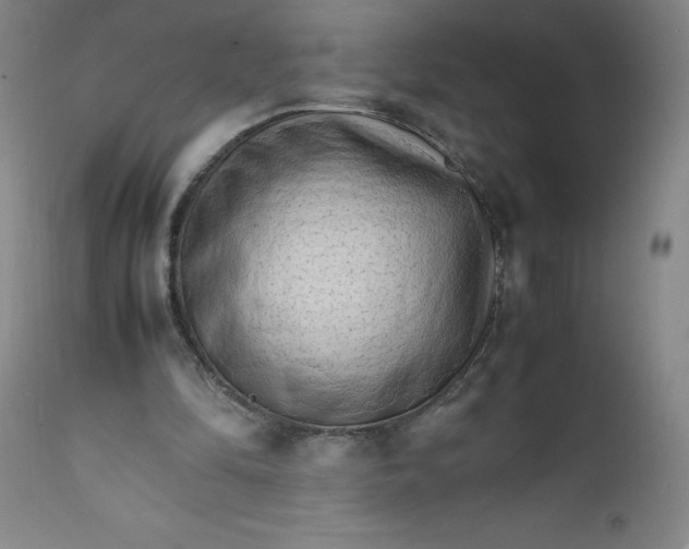 X0000112150294200908281346