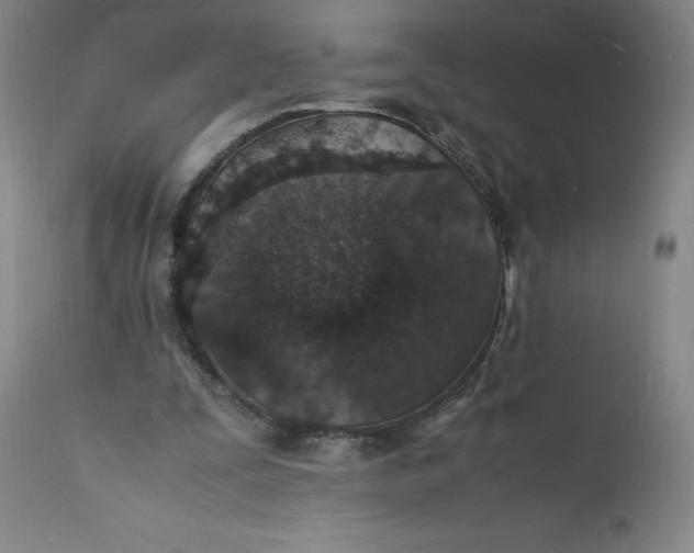 X0000112150295200908281346