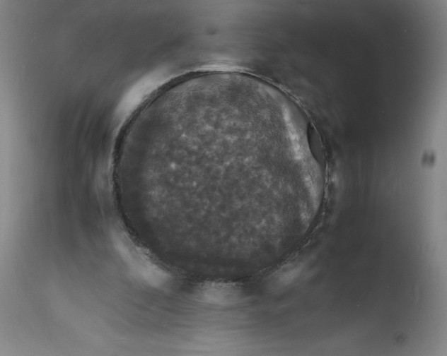 X0000112150296200908281346