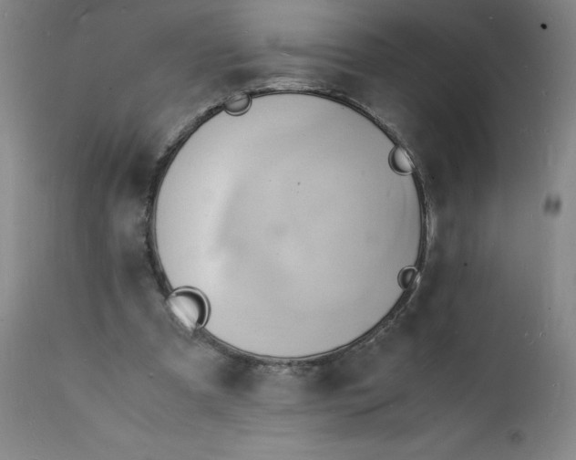 X0000112150297200908281346