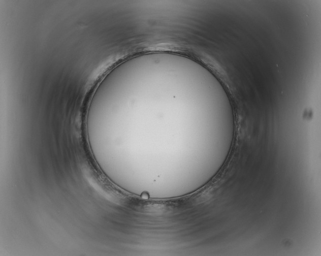 X0000112150298200908281346