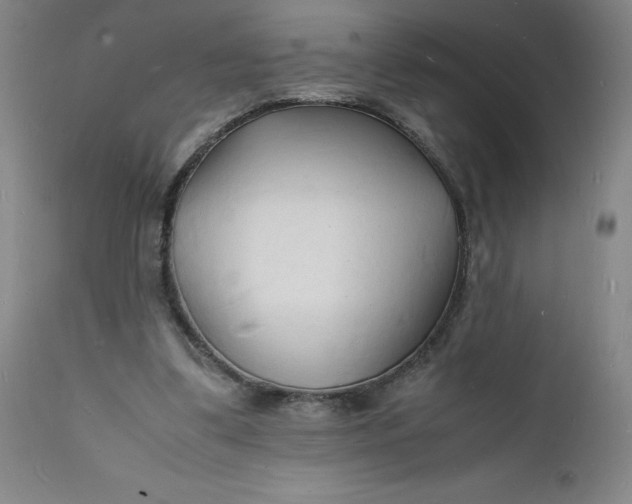 X0000112150299200908281346