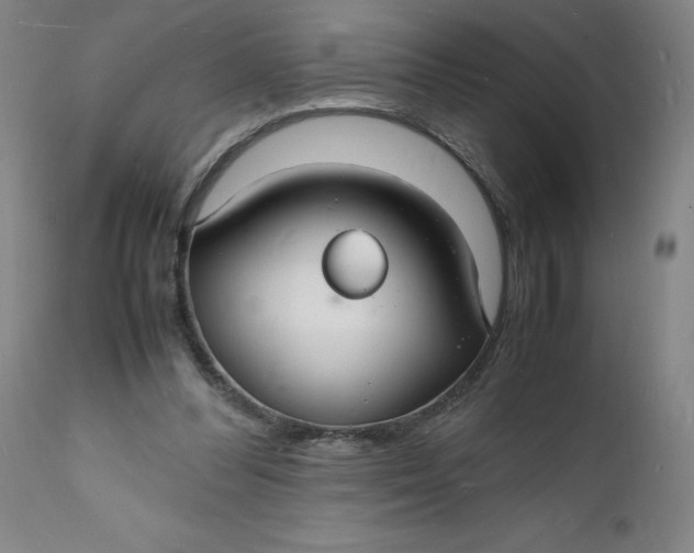 X0000112150300200908281346