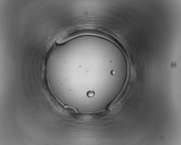 X0000112150301200908281346