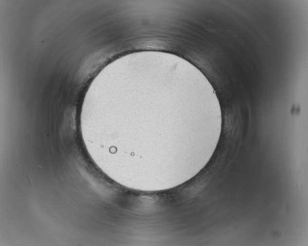 X0000112150302200908281346