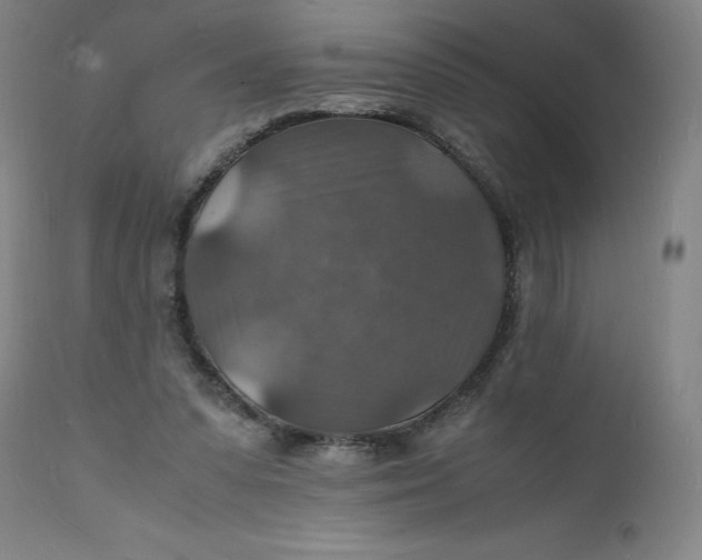 X0000112150303200908281346