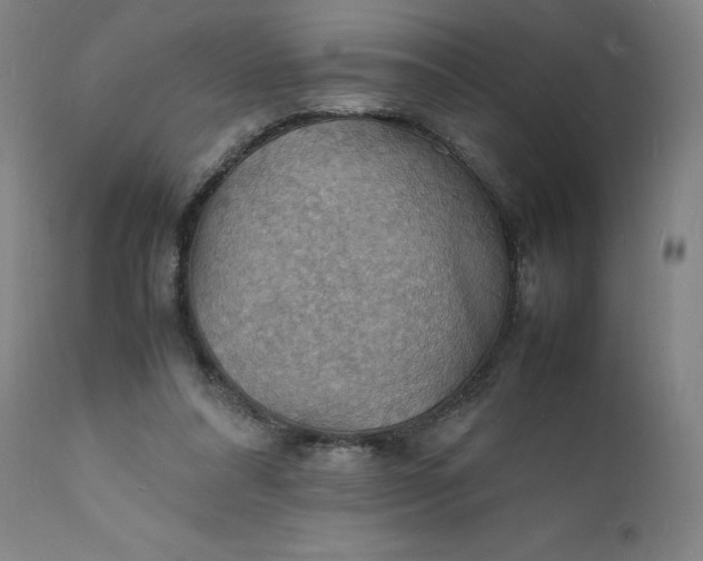 X0000112150304200908281346