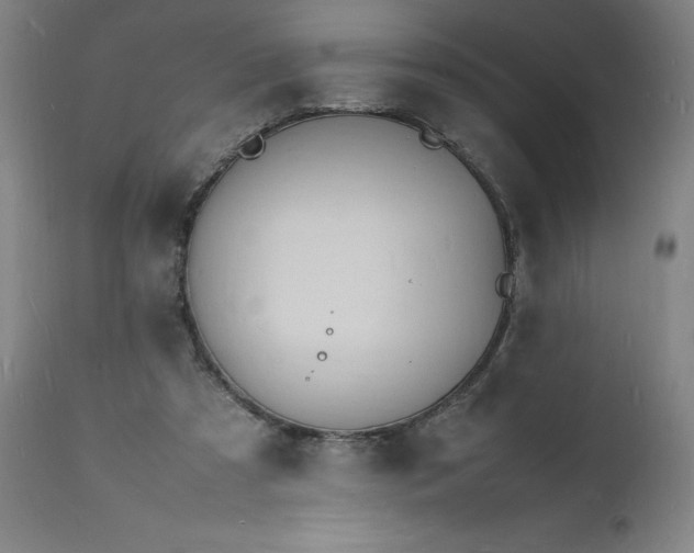 X0000112150305200908281346