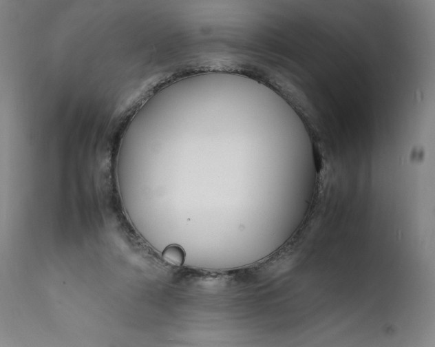 X0000112150306200908281346