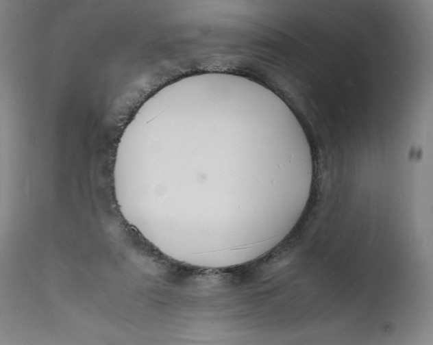 X0000112150307200908281346