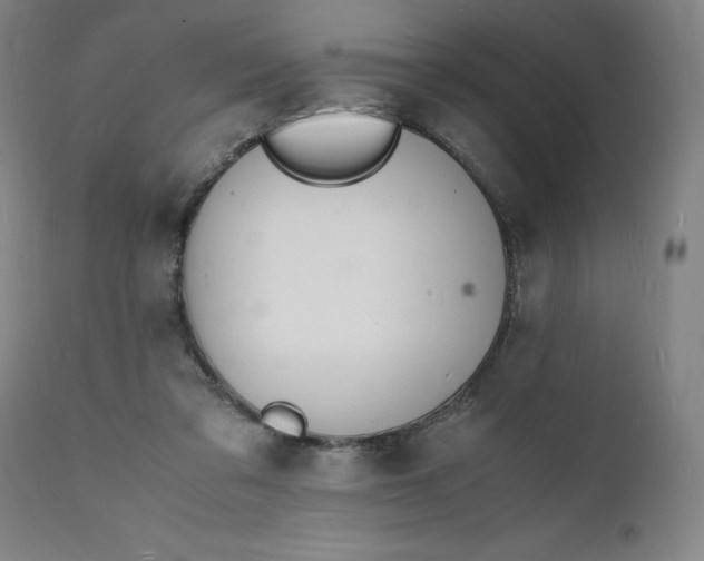 X0000112150309200908281346