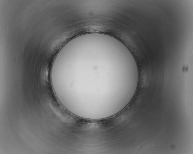 X0000112150310200908281346