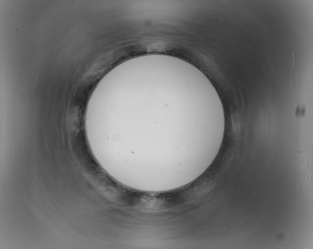 X0000112150311200908281346