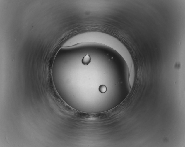 X0000112150312200908281346