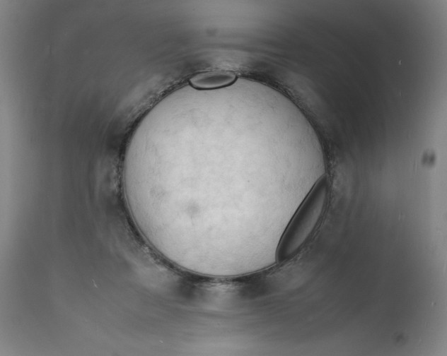 X0000112150313200908281346