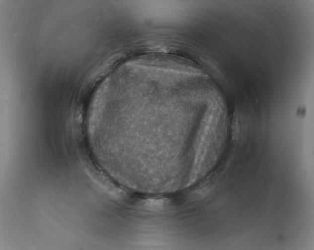 X0000112150314200908281346