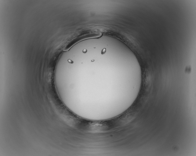 X0000112150315200908281346