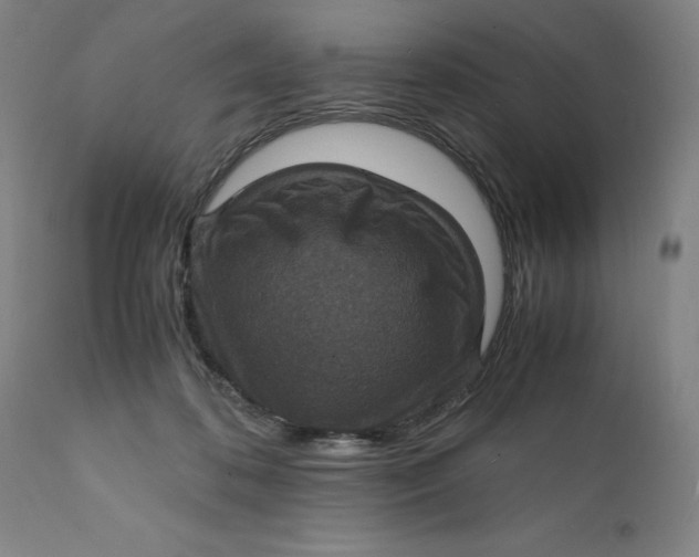 X0000112150316200908281346