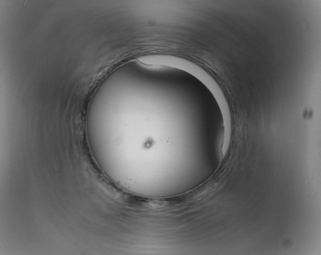 X0000112150317200908281346