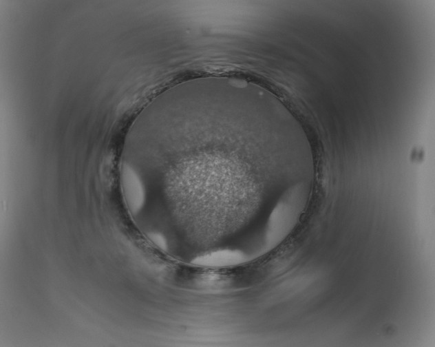 X0000112150319200908281346