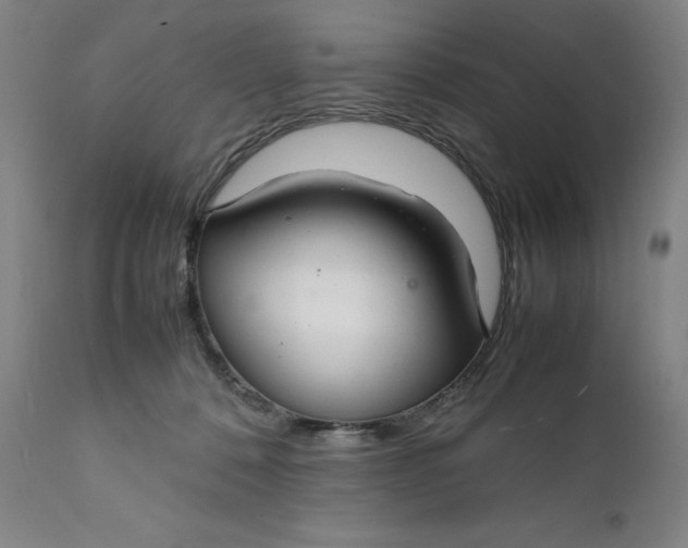 X0000112150320200908281346