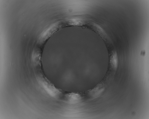 X0000112150322200908281346