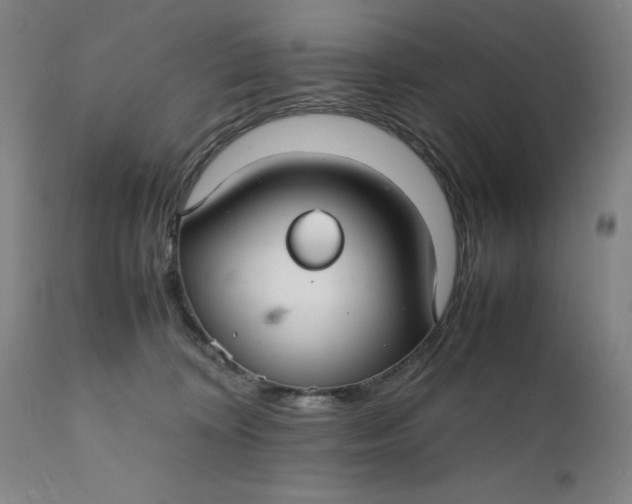 X0000112150324200908281346