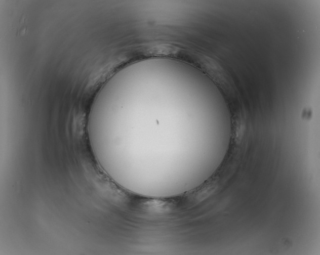 X0000112150326200908281346