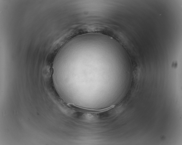 X0000112150327200908281346