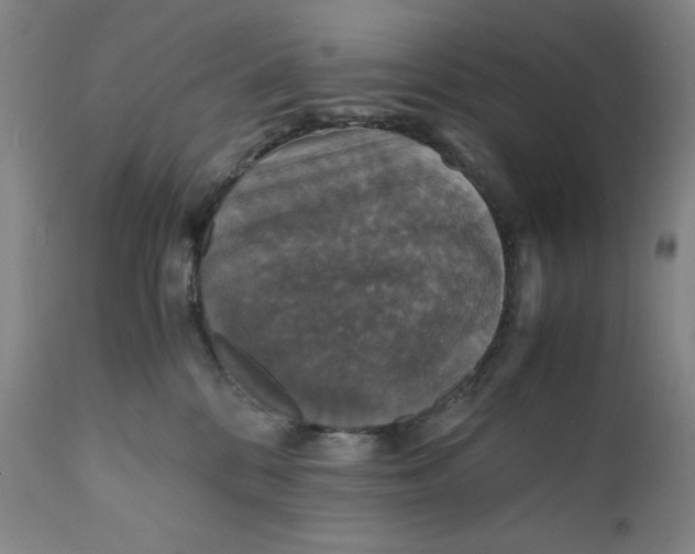 X0000112150328200908281346