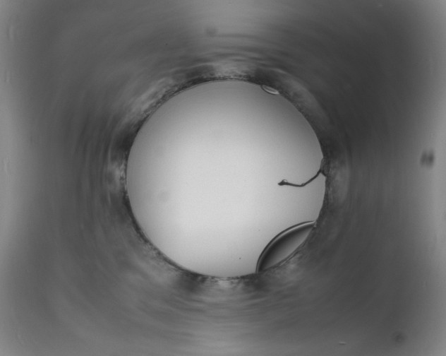 X0000112150329200908281346