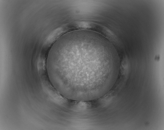 X0000112150330200908281346