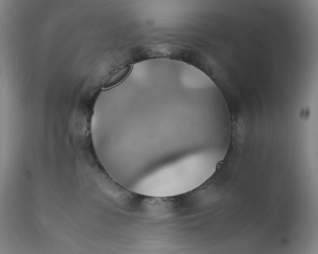 X0000112150331200908281346