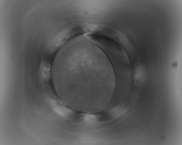 X0000112150332200908281346