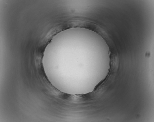 X0000112150333200908281346