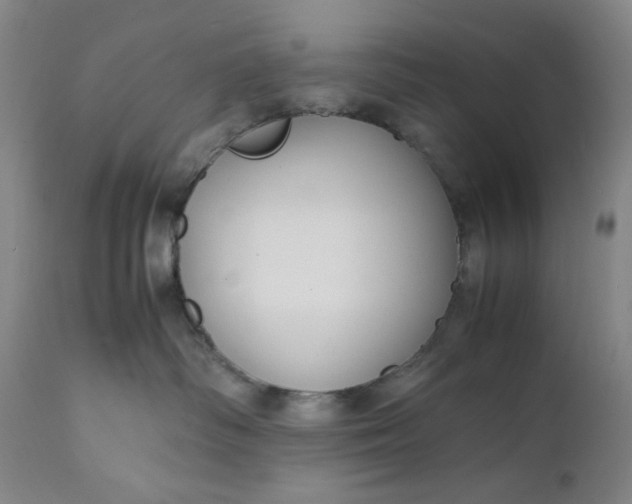 X0000112150334200908281346