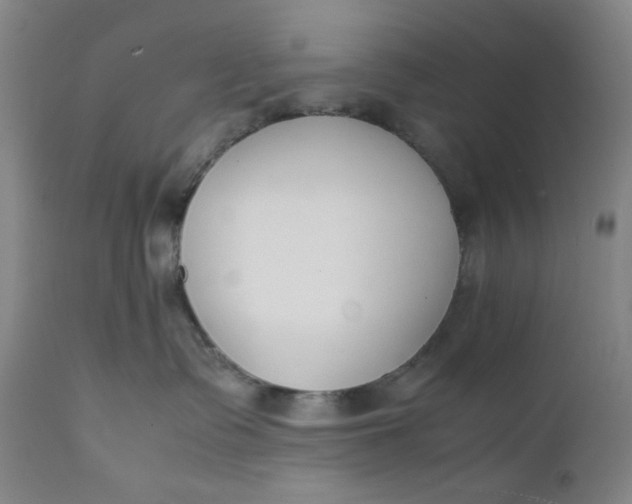 X0000112150335200908281346