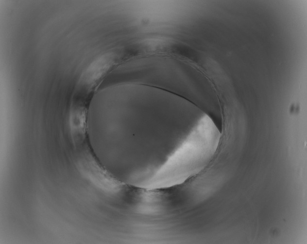 X0000112150336200908281346