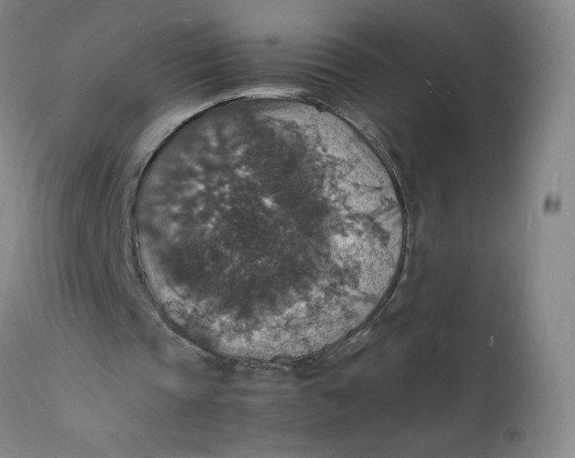 X0000112150337200908281345