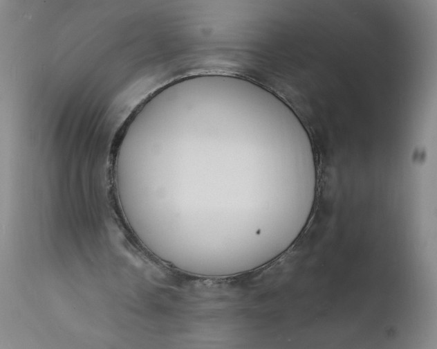 X0000112150338200908281345