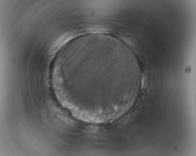 X0000112150339200908281345