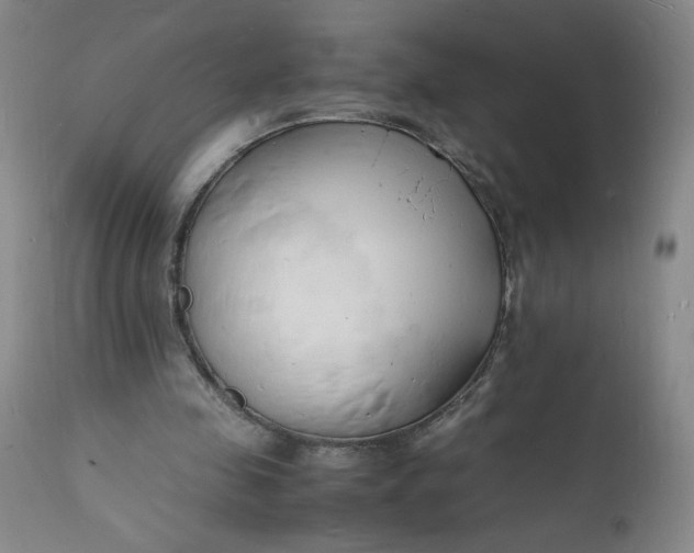 X0000112150341200908281345