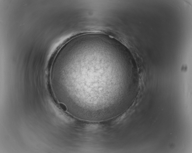 X0000112150342200908281345
