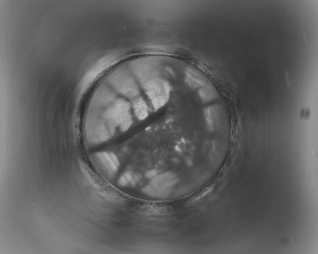 X0000112150343200908281345