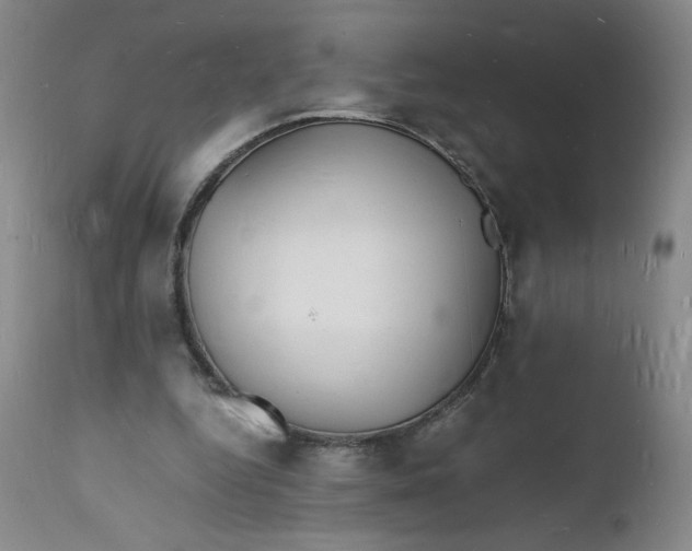 X0000112150344200908281345