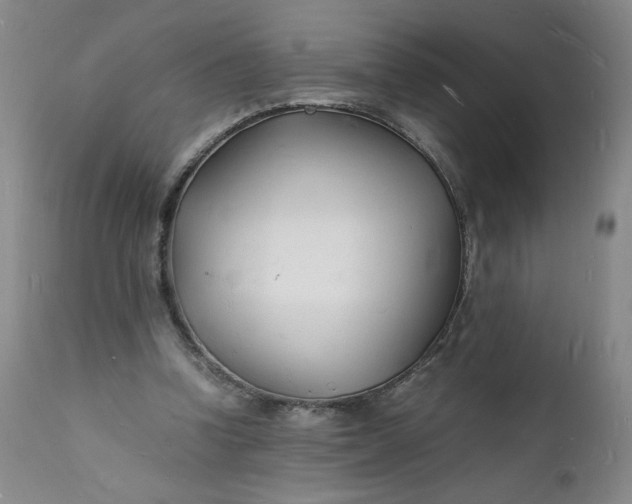 X0000112150346200908281345