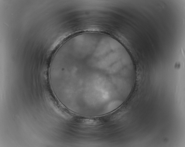 X0000112150347200908281345